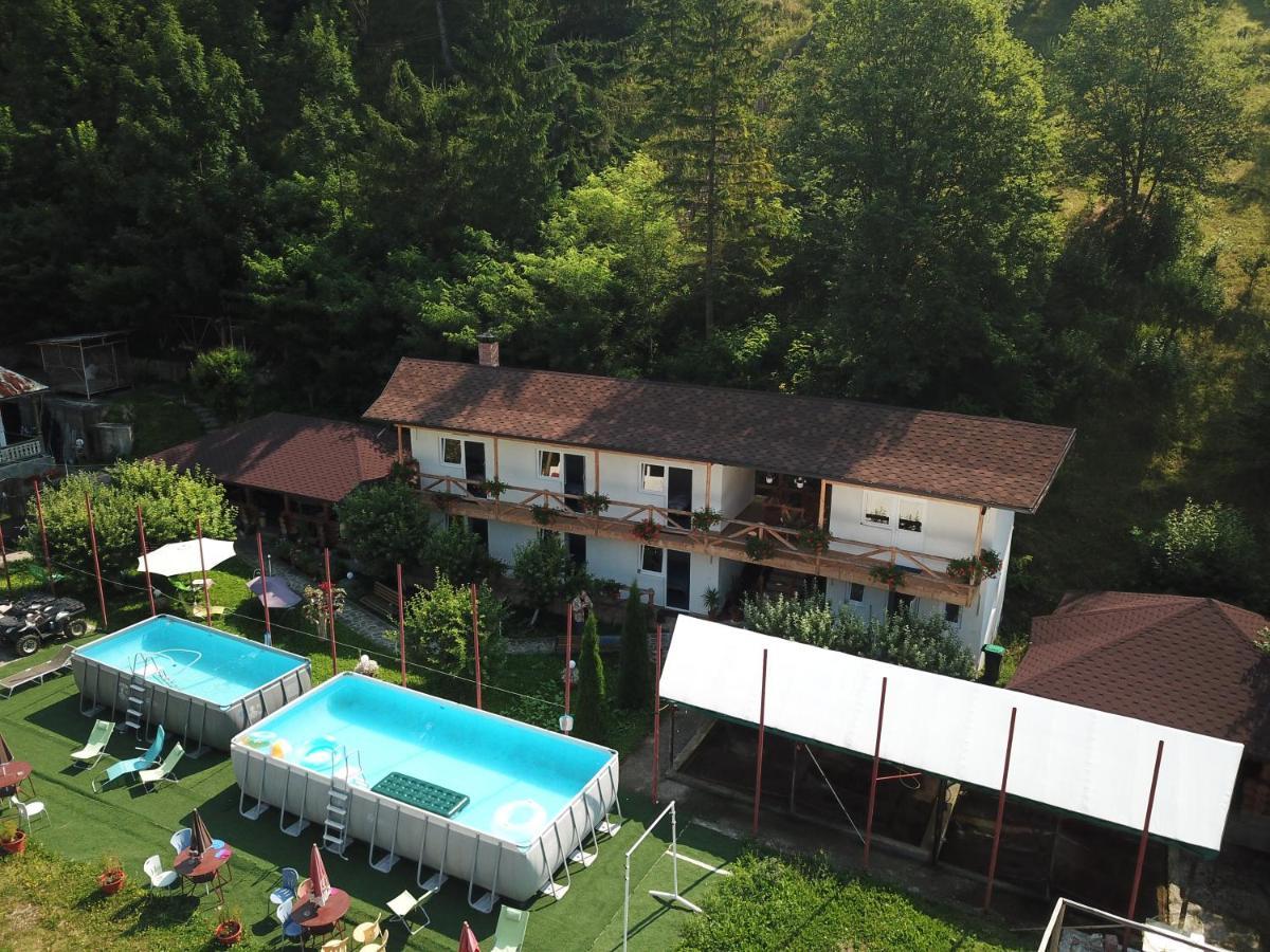 Pensiunea Serbeca Brosteni Exterior photo